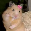 tuiyeuro