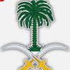 8fahadalenzi