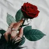 rohana_1103
