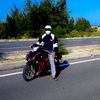 leviet255