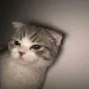 kei_mlbb1