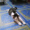 nurah_subin