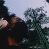 sagar.tamang999