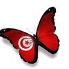 walidjabri41