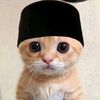 user_8039847
