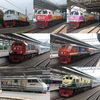 putraaryanto810