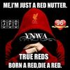 andrew.jr11