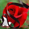 val.valou00