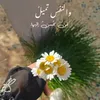 ji.vvi