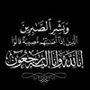 salm.1098aa