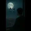 phashay_xam