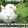 nenyetopodpison1