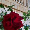 www.tiktok.com.houda1956