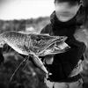 jungle.fishing