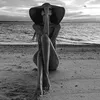 marina_koshetar