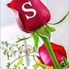 shabanar1989
