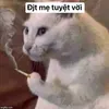 trainhatgai25
