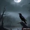 almostshar255