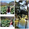 wendy_lascarro