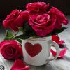 nusaybah_arsalan