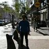 franciscomoreno9345