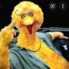 bigbird.69l
