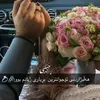 dlbar_n