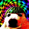 wertynpopa
