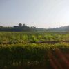 jilajil_17