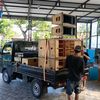dnpro030