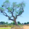 bouboukoita10