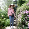 nguyenhang6645