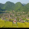 thongduong8686