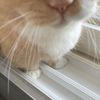 mimimimimimimini
