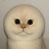 mryamhmidd