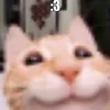kittyyyyyyyyyuuuhh