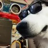 drkztan