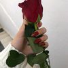 aicha.kalifa