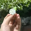 www.dgmaihoa