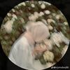 amlahmed9622