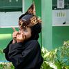 amliaanjni_