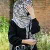 rizwanrizwan7702