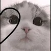 1ts_n0t_melody