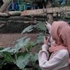 stsdyh3