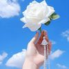 fariid670