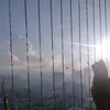 uama_211