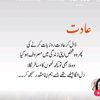 user7140010manaali45561
