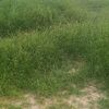 user7568288462176