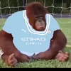 city_wins_ucl