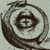 salamander841